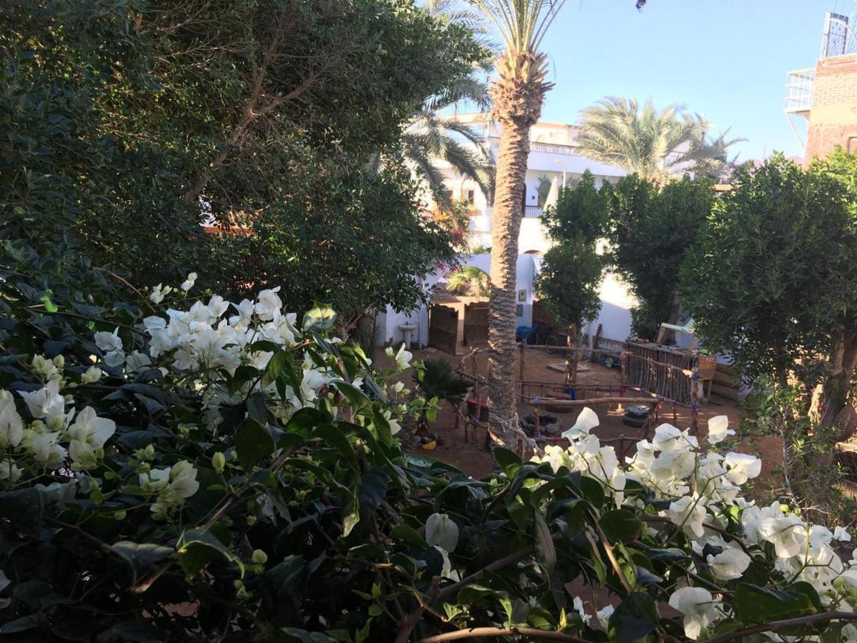 Sunrise Dahab Lodge 外观 照片
