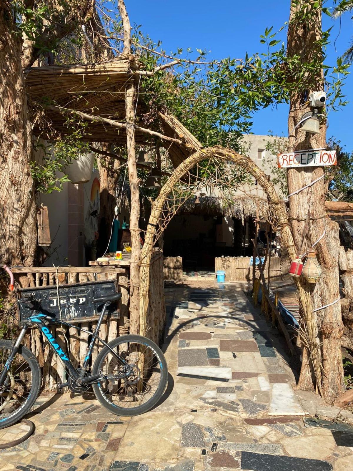 Sunrise Dahab Lodge 外观 照片