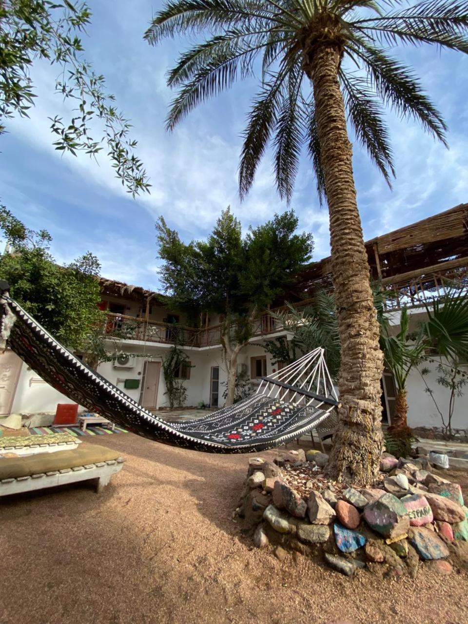 Sunrise Dahab Lodge 客房 照片